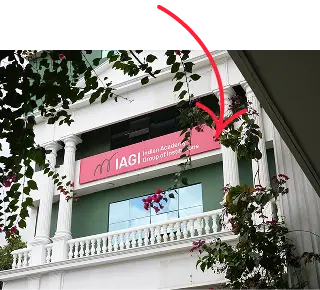 About IAGI 1 Group 67